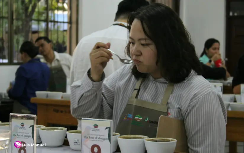 Nicaragua premia lo mejor del café "The Best of Maragos"