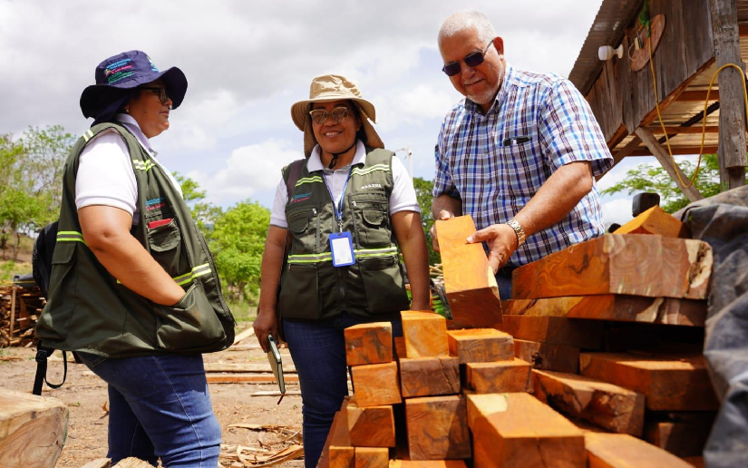 Visita a industrias forestales
