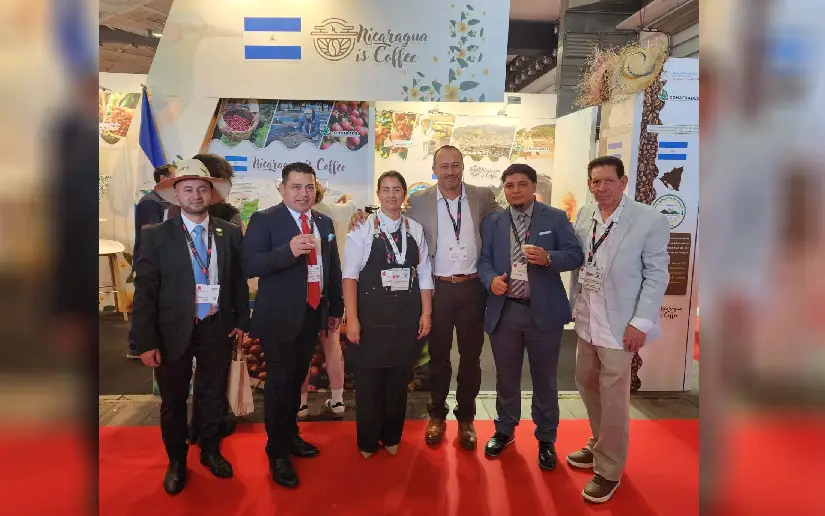 Café nicaragüense presencia y prestigio en Europa
