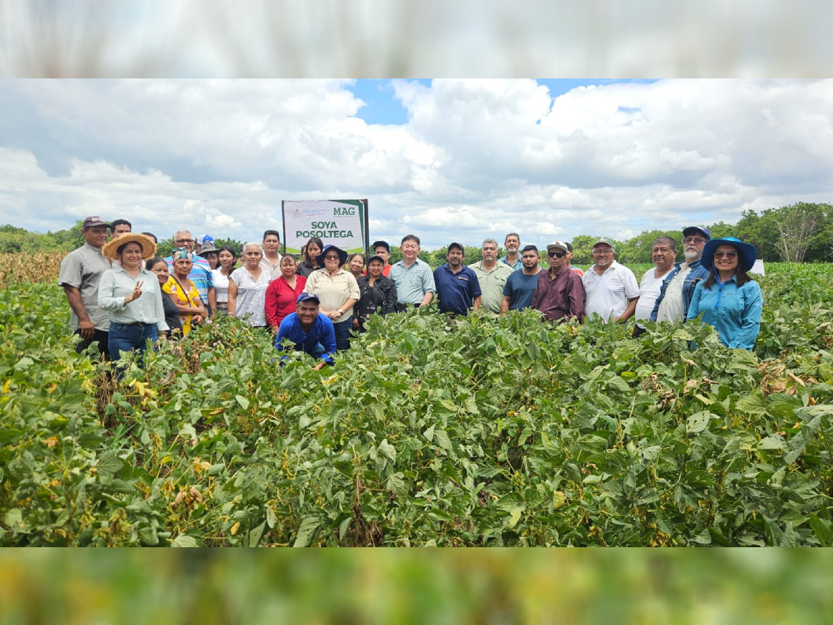 Tecnologías para soya