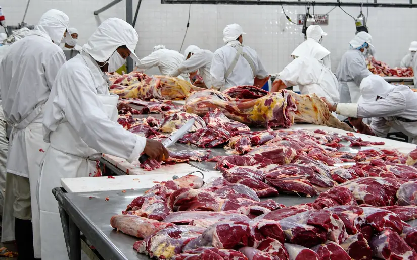 Producción de carne bovina alcanza 110.7 millones de libras a marzo de 2026