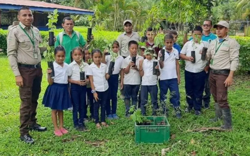 Campaña "Verde que te quiero verde": Nicaragua se propone sembrar 10 millones de plantas