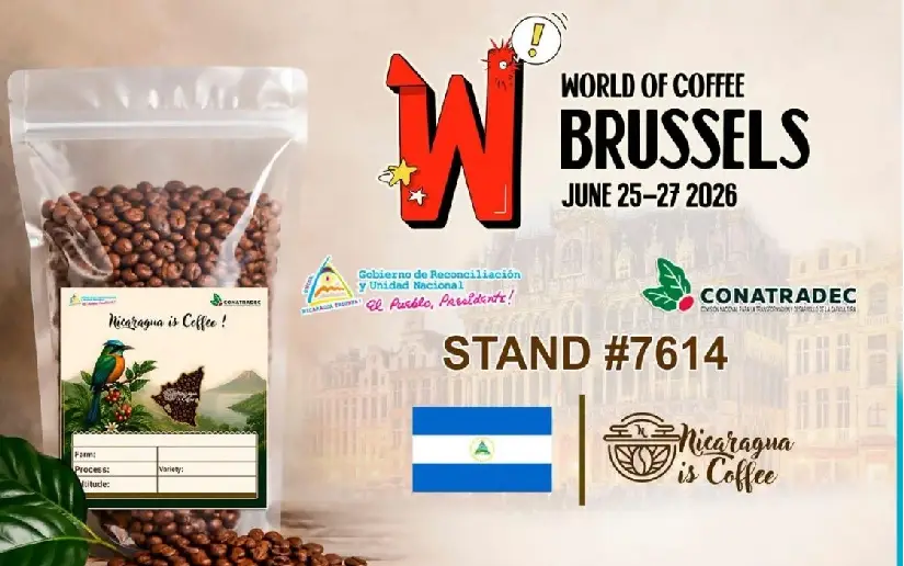 Café de Nicaragua en Bélgica