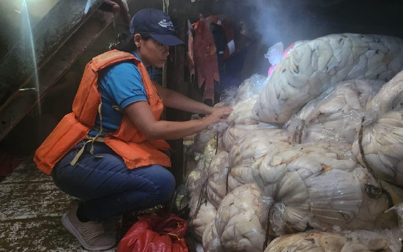 Control a flota pesquera de caracol rosado en el Caribe Norte