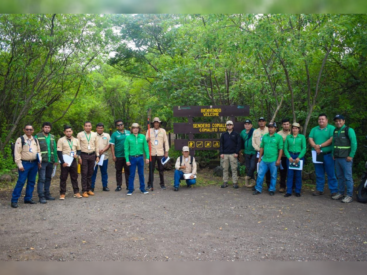 Cuidando nuestros bosques