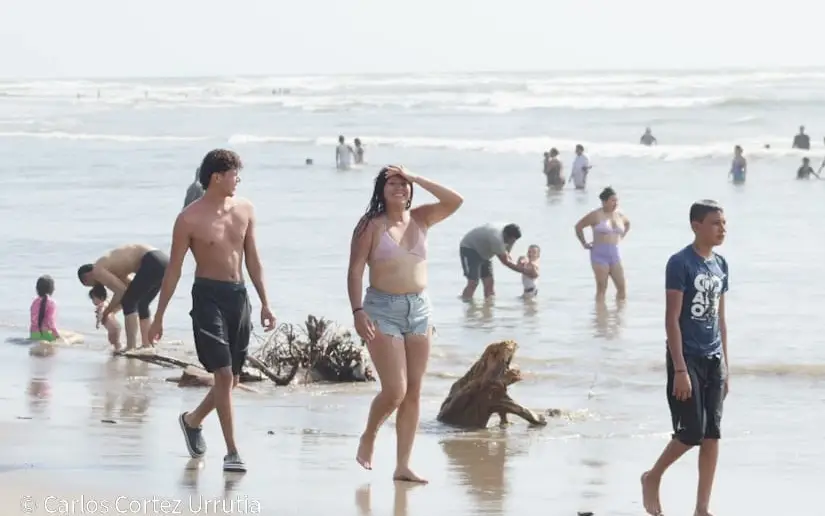 Informe de Temporada Veraniega 2026