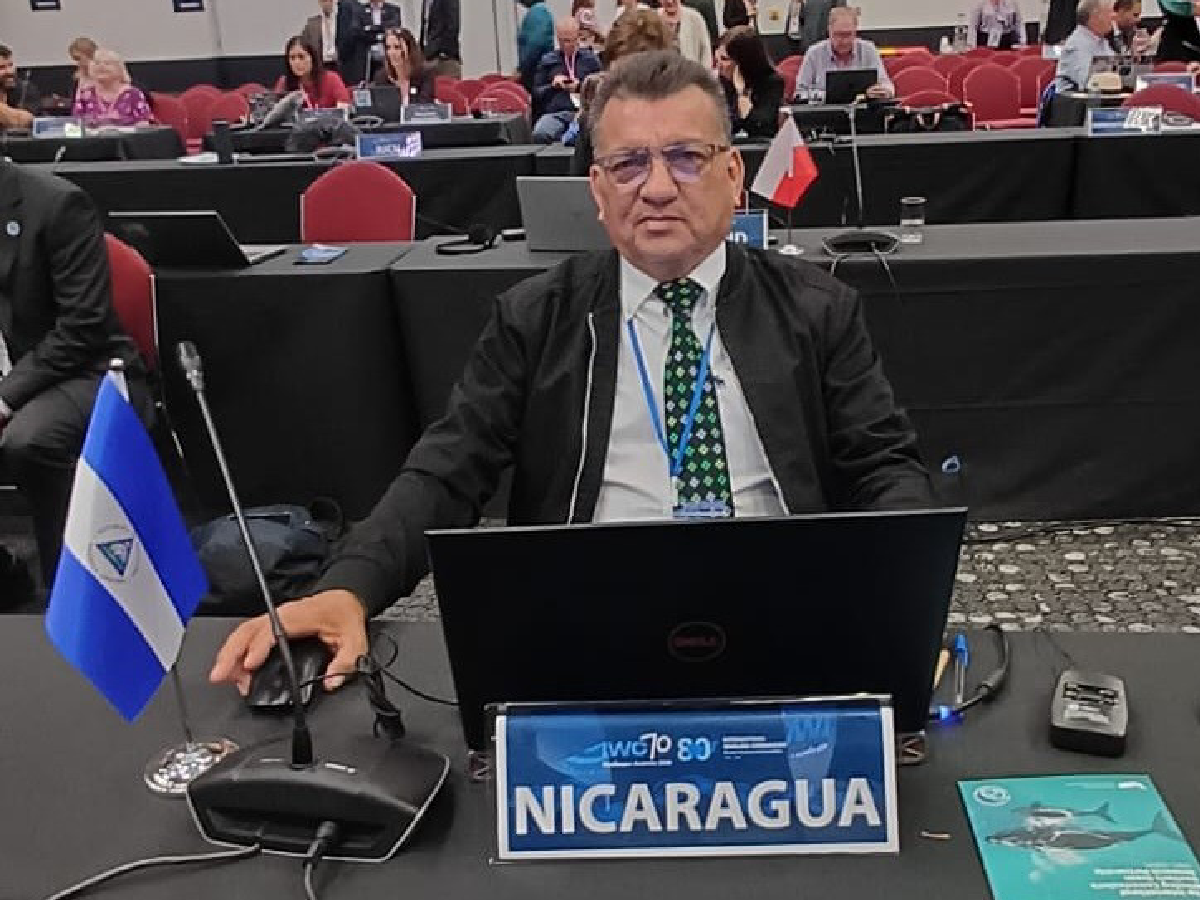 Comisión Ballenera Internacional