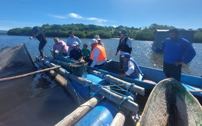 Proyecto piloto de acuicultura en Chinandega