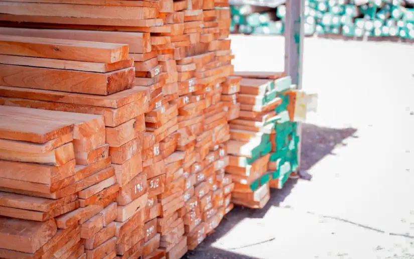 Exportaciones forestales durante marzo