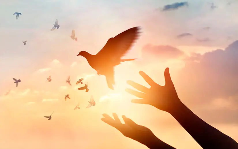 Resguardamos la Paz, el don preciado de la Humanidad